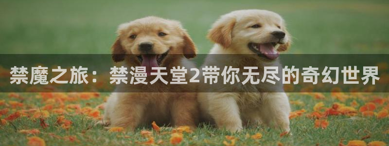 喵趣漫画官网樱花动漫：禁魔之旅：禁漫天堂2带你无尽的奇幻世界