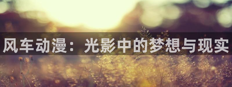 age专注动漫的门户网站