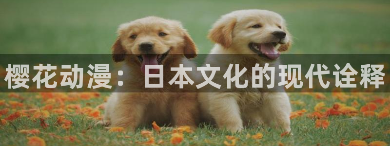 喵趣漫画