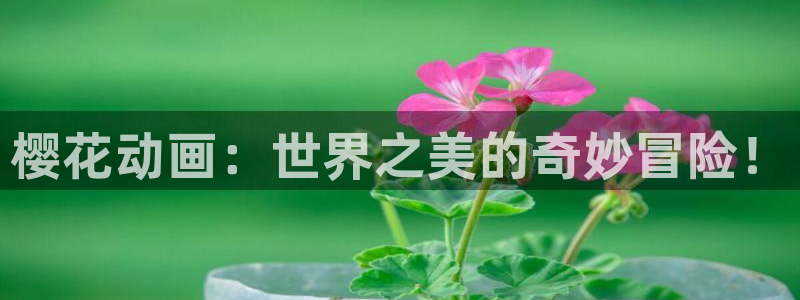 喵趣漫画专注动漫的门户网站