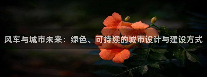 age专注动漫的门户网站