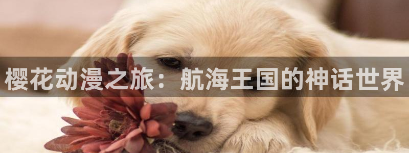 colamanage漫画：樱花动漫之旅：航海王国的神话世界