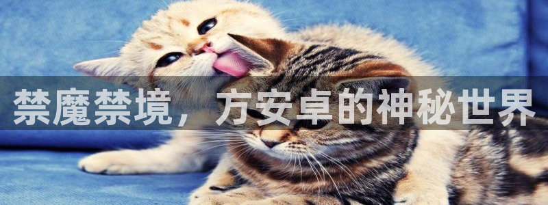 colamanage漫画：禁魔禁境，方安卓的神秘世界