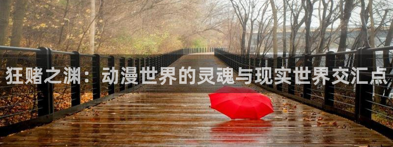 在线动画动漫下载喵趣漫画
