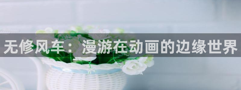 age樱花动漫：无修风车：漫游在动画的边缘世界