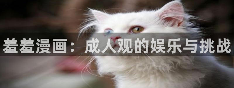 喵趣漫画下载网：羞羞漫画：成人观的娱乐与挑战